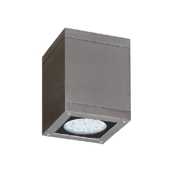 OUTDOOR CEILING LUMINAIRES TVN 20